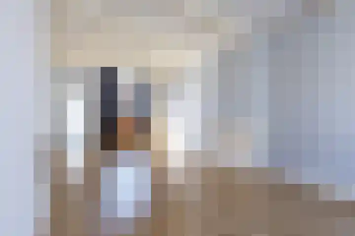 Ooievaarstraat 25 Zaandam thumbnail 9
