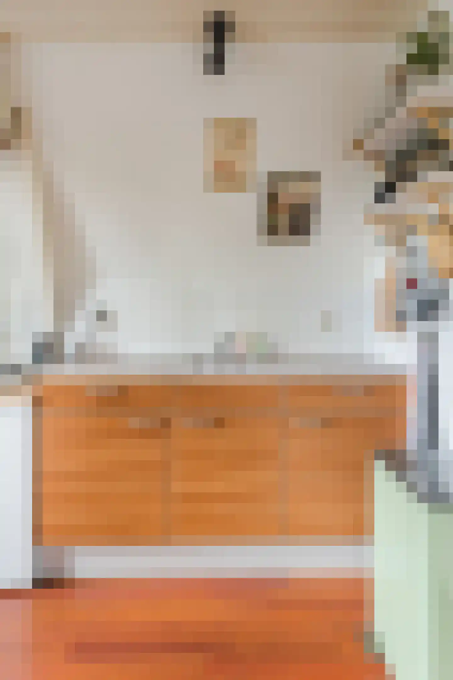 Ooievaarstraat 26 A Zaandam foto 3