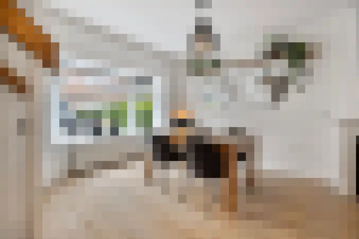 Ooievaarstraat 35 Den Helder thumbnail 4