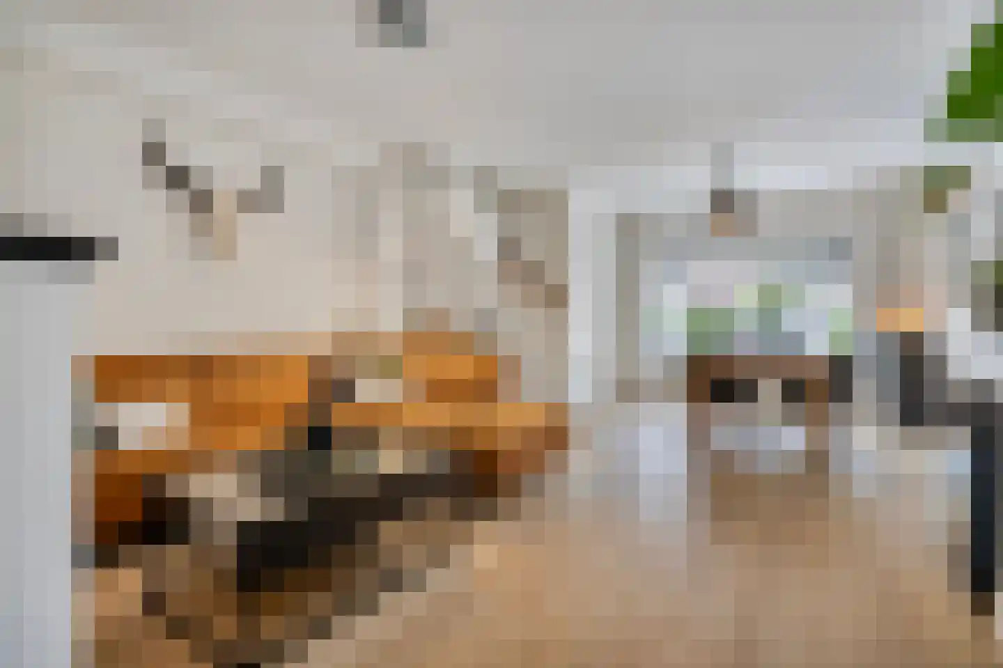 Ooievaarstraat 35 Den Helder thumbnail 7