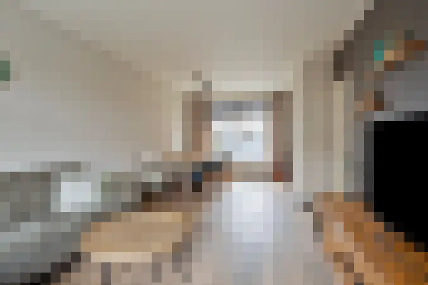 Ooievaarstraat 36 Kampen thumbnail 17