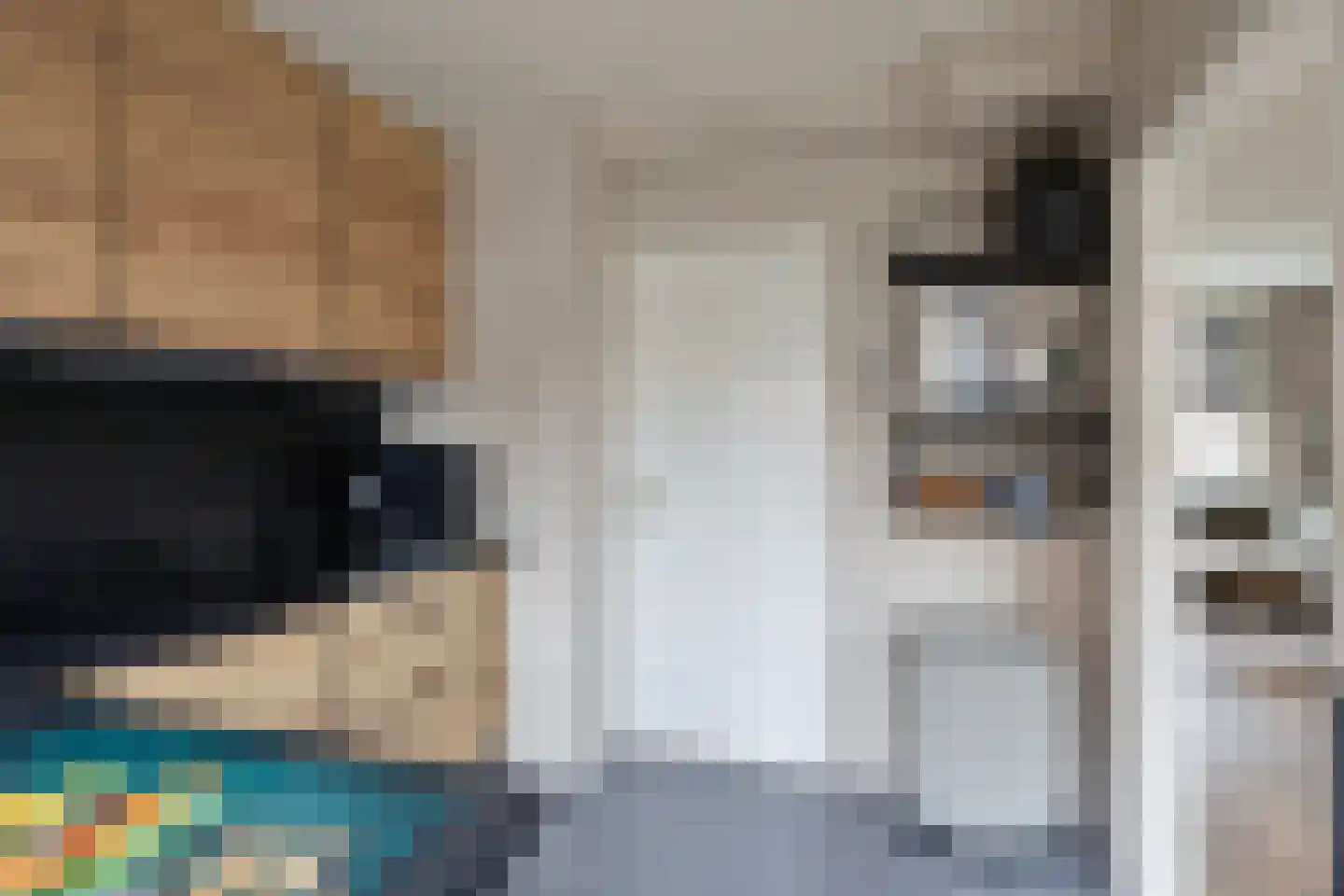 Ooievaarstraat 36 Kampen thumbnail 24