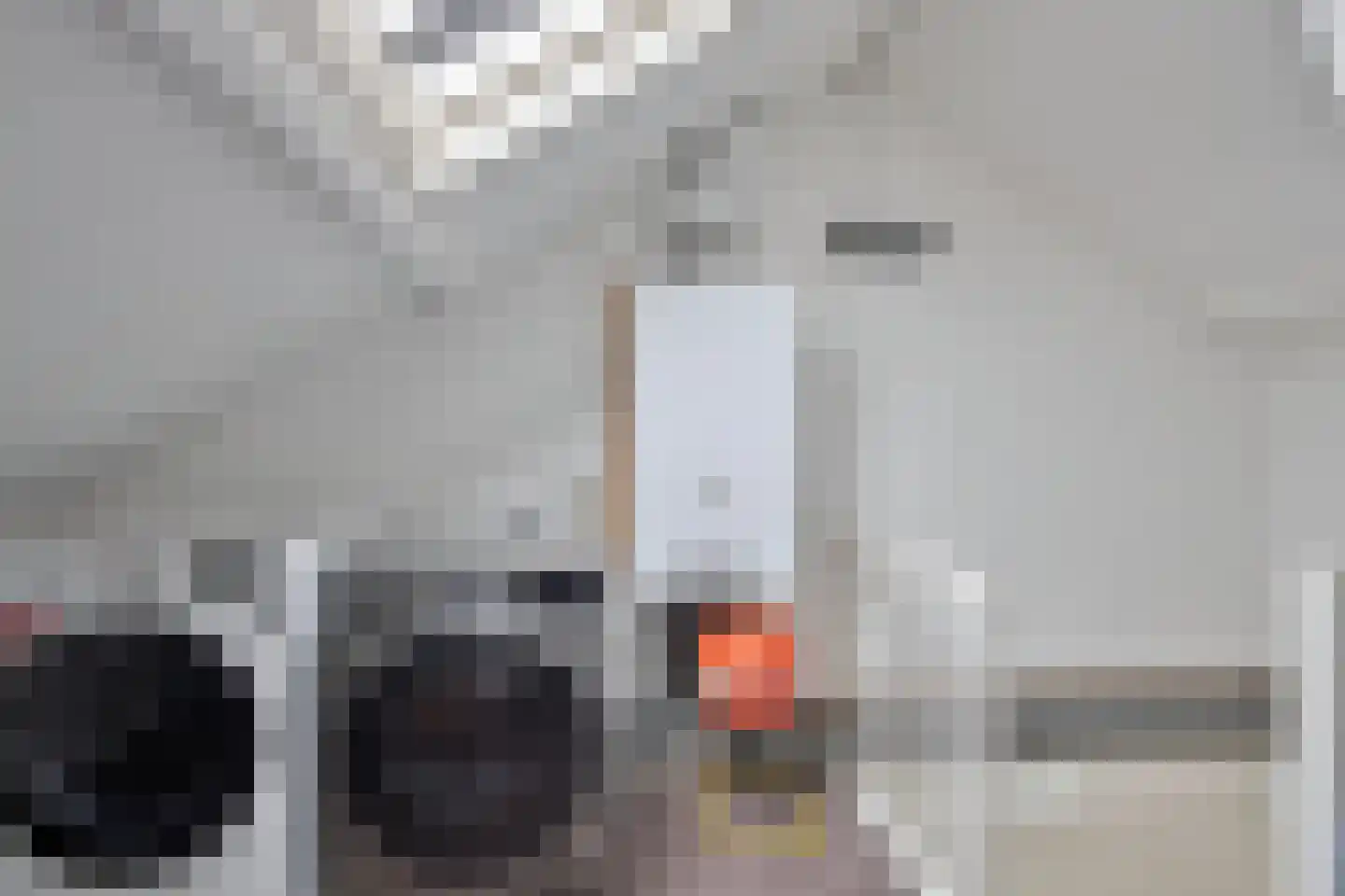 Ooievaarstraat 36 Kampen thumbnail 33