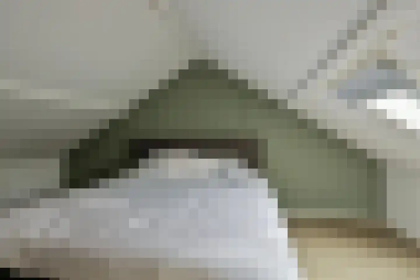 Ooievaarstraat 36 Kampen thumbnail 34