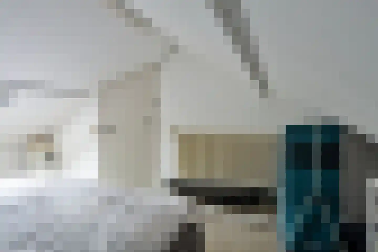 Ooievaarstraat 36 Kampen thumbnail 35