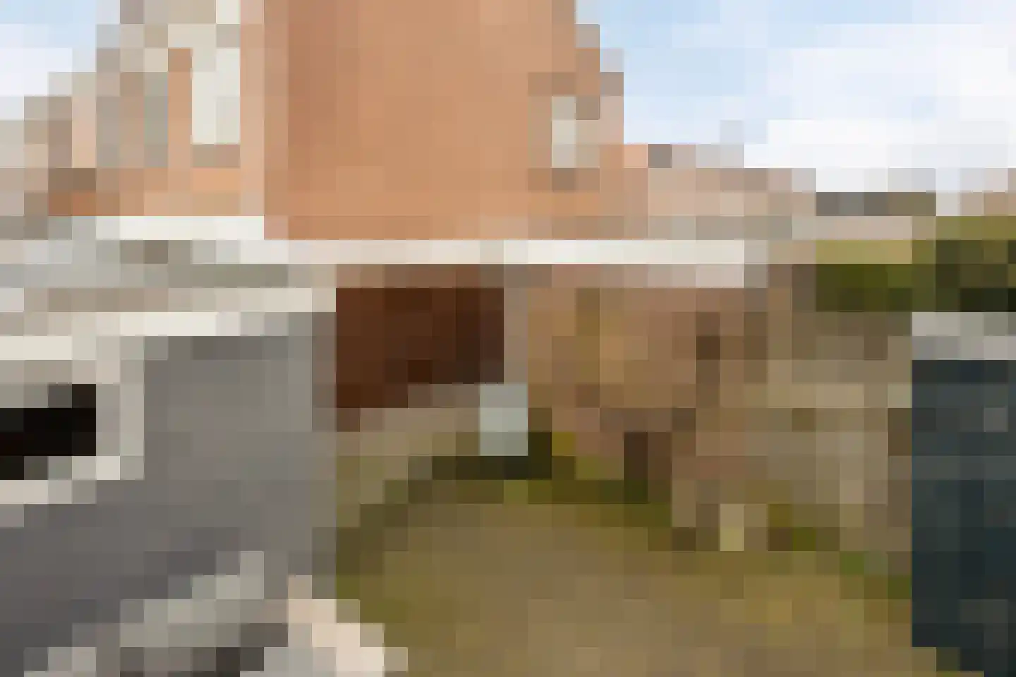 Ooievaarstraat 36 Kampen thumbnail 37