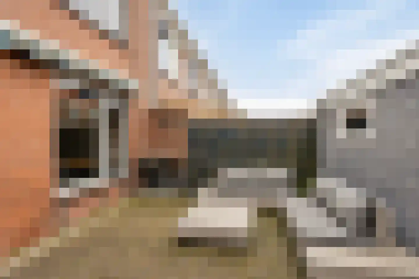 Ooievaarstraat 36 Kampen thumbnail 5