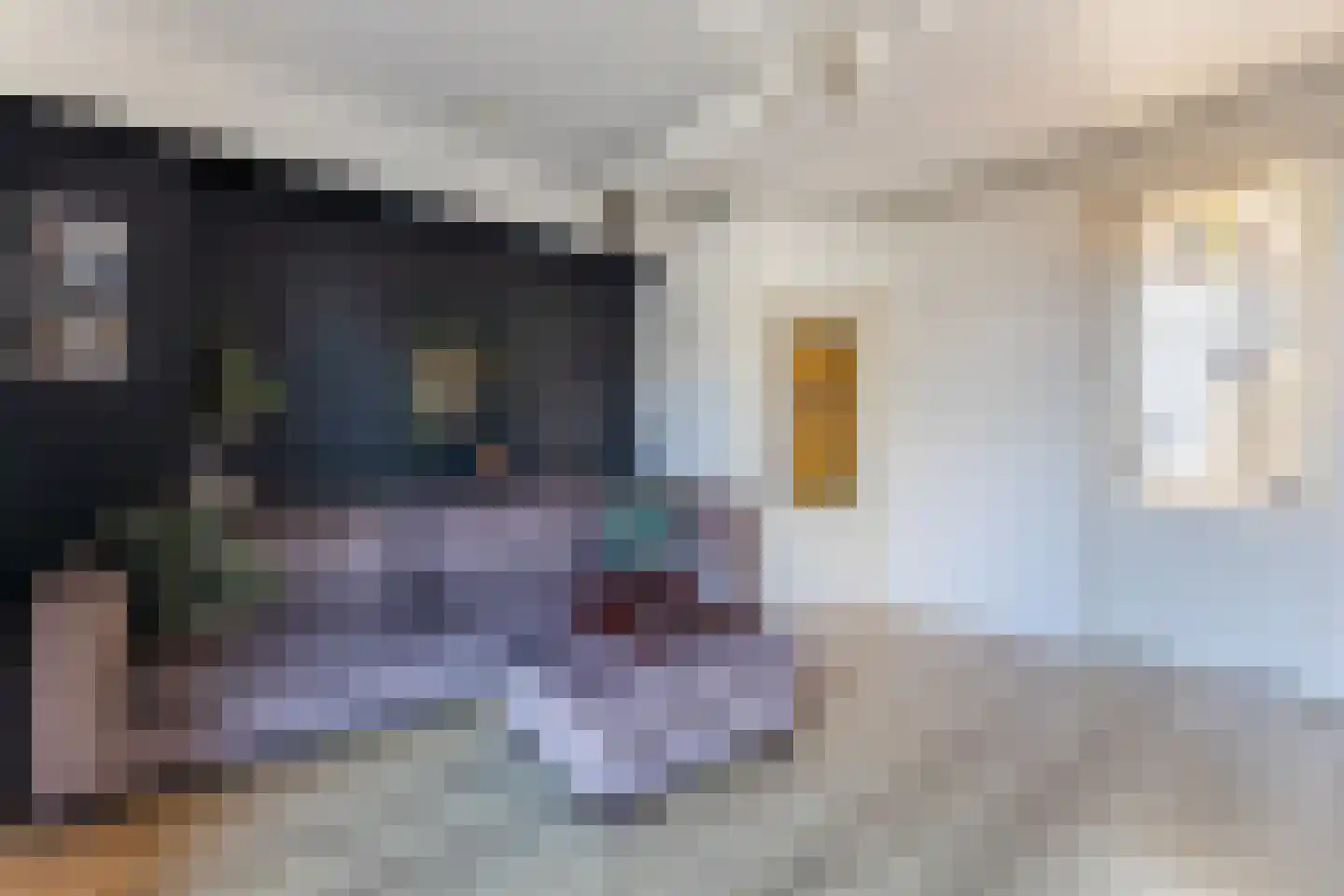 Ooievaarstraat 38 Zaandam thumbnail 18