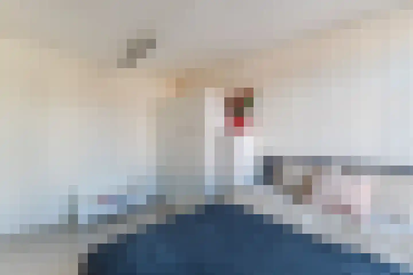 Ooievaarstraat 38 Zaandam thumbnail 28