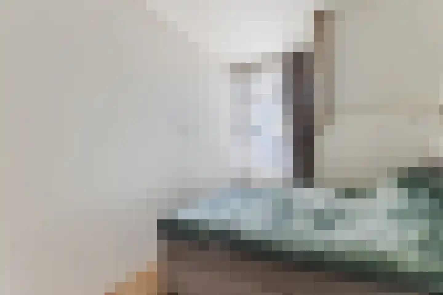 Ooievaarstraat 38 Zaandam thumbnail 30
