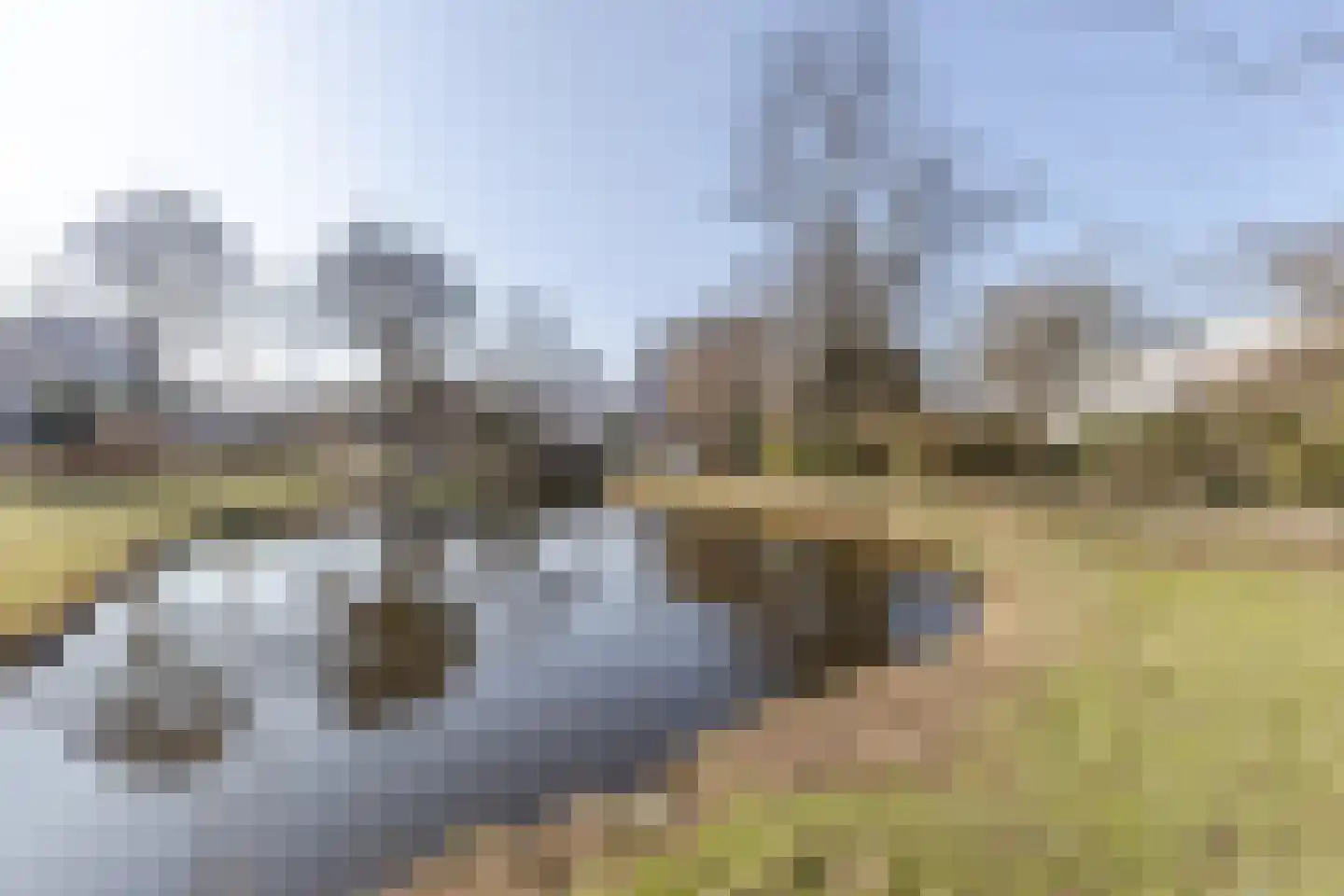 Ooievaarstraat 38 Zaandam thumbnail 46