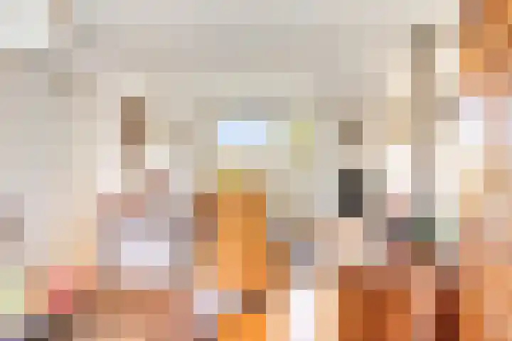 Ooievaarstraat 4 Kampen thumbnail 10