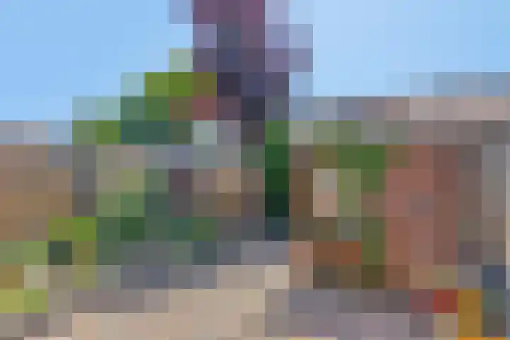 Ooievaarstraat 4 Kampen thumbnail 33