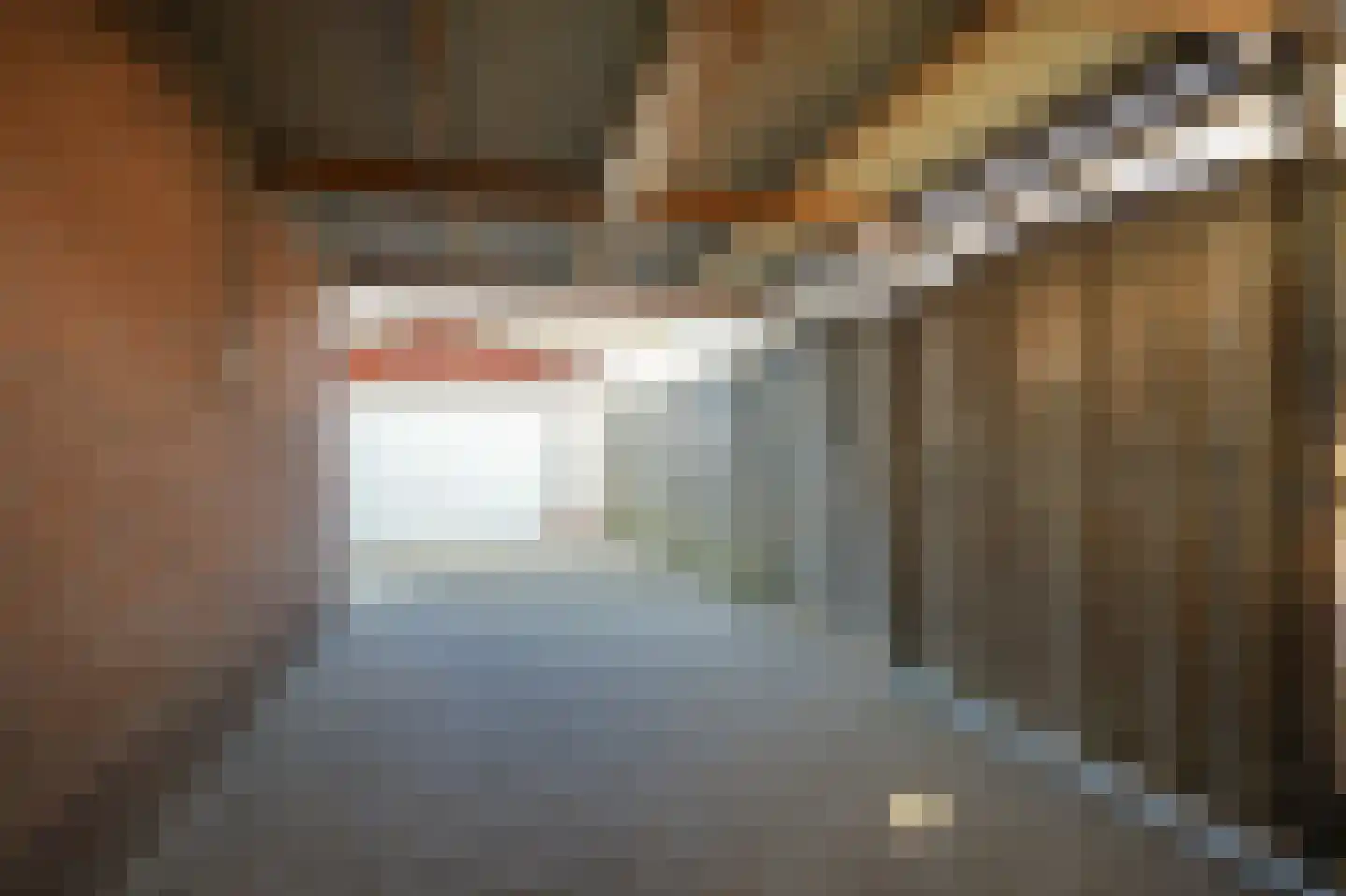 Ooievaarstraat 48 Opheusden thumbnail 27