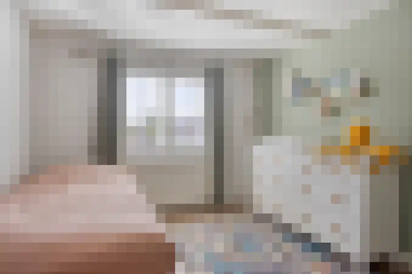 Ooievaarstraat 5 Alkmaar thumbnail 20
