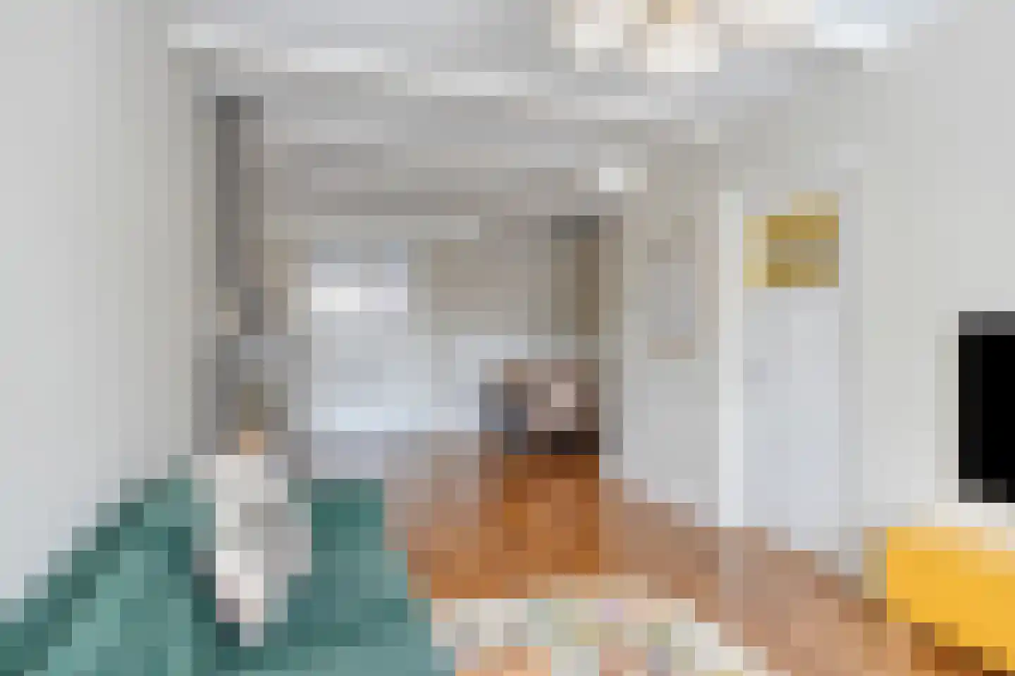 Ooievaarstraat 5 Alkmaar thumbnail 5