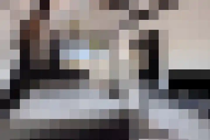 Ooievaarstraat 52 Zaandam thumbnail 36