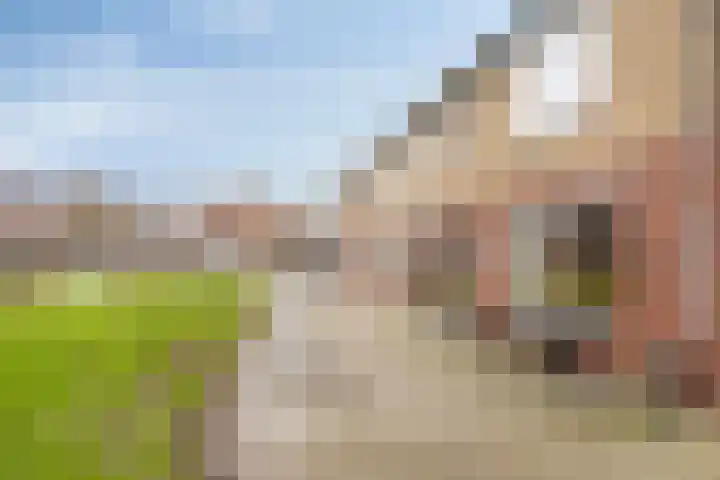 Ooievaarstraat 6 Kampen thumbnail 13