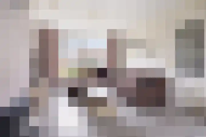 Ooievaarstraat 6 Kampen thumbnail 17
