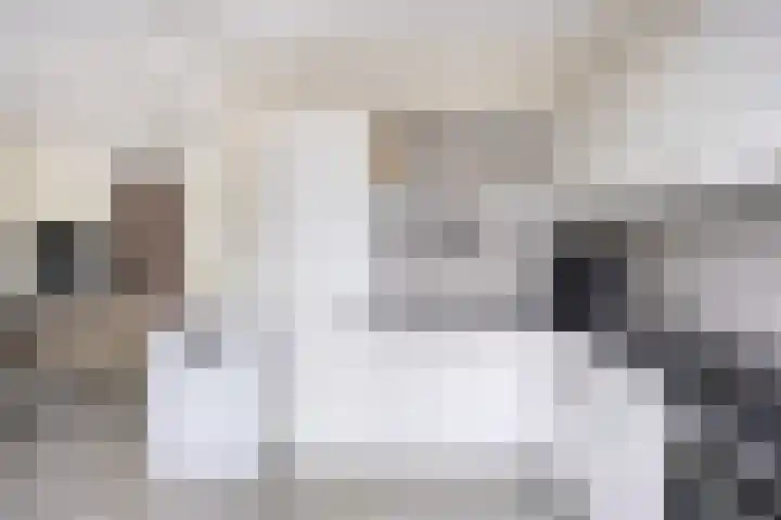 Ooievaarstraat 6 Kampen thumbnail 22