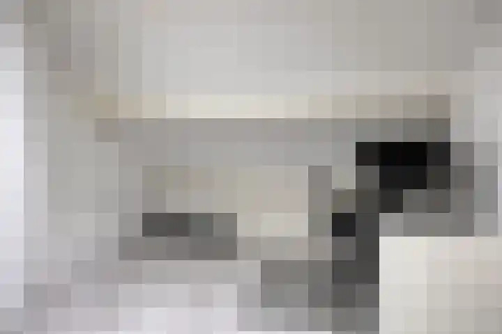 Ooievaarstraat 6 Kampen thumbnail 35