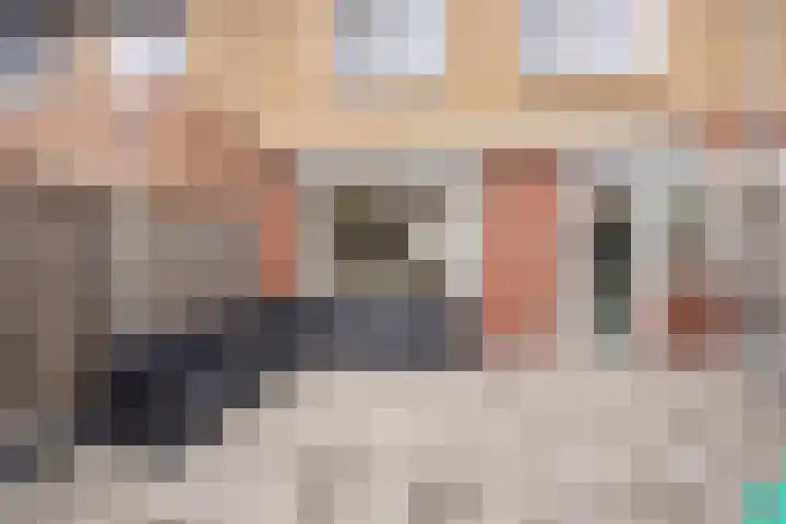 Ooievaarstraat 6 Kampen thumbnail 40