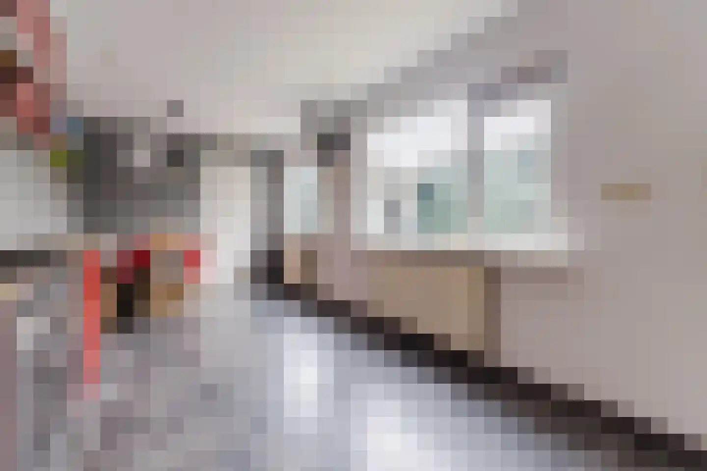 Ooievaarstraat 62 Zaandam thumbnail 17