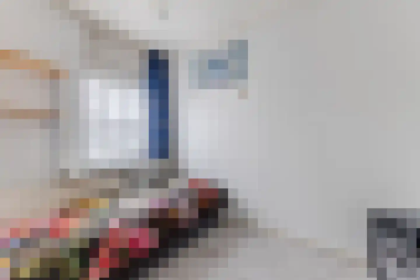 Ooievaarstraat 62 Zaandam thumbnail 30