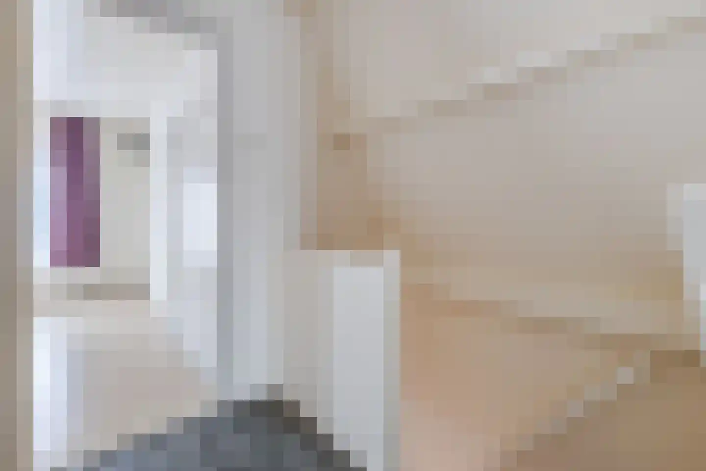 Ooievaarstraat 62 Zaandam thumbnail 34