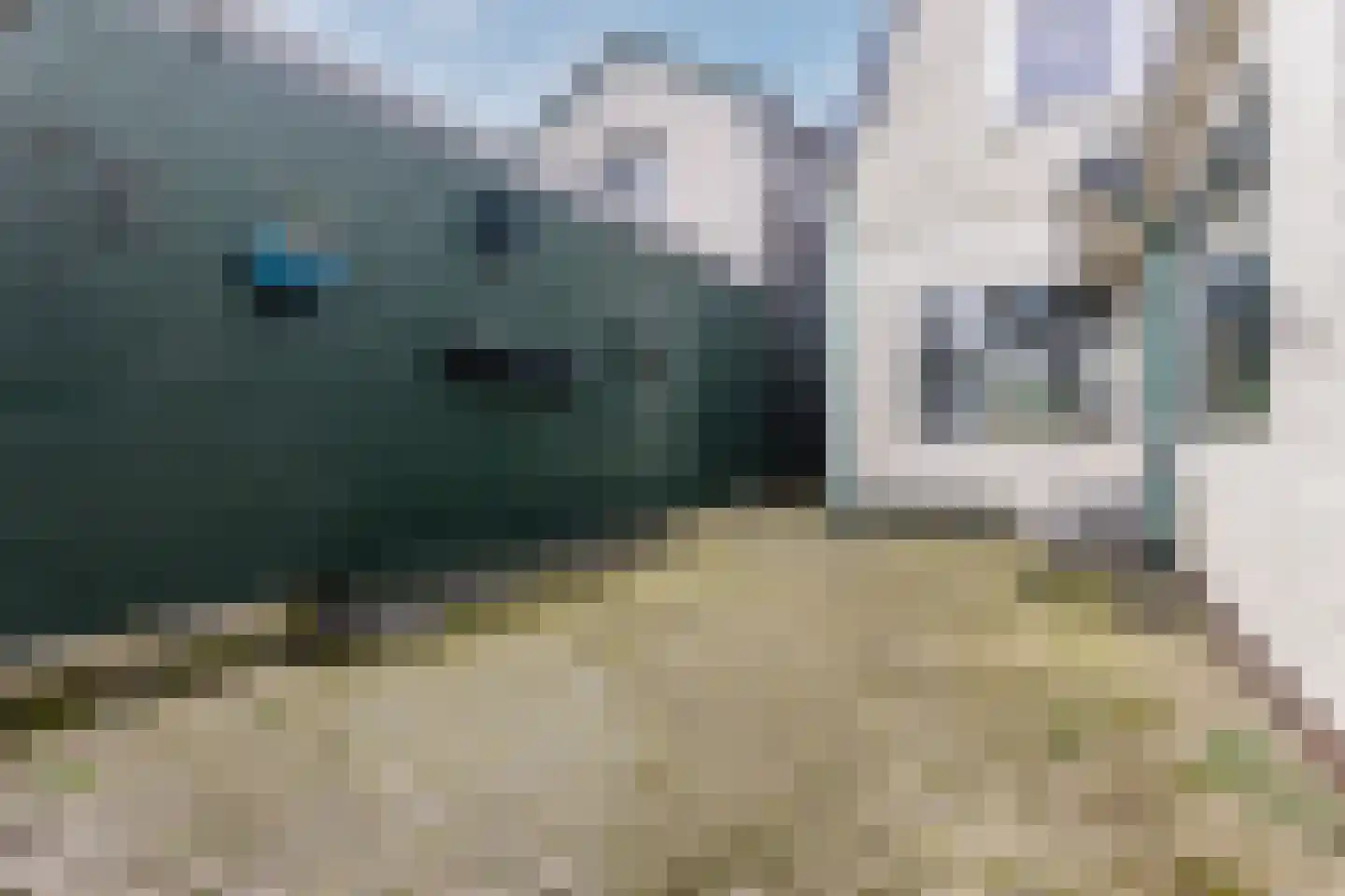 Ooievaarstraat 62 Zaandam thumbnail 37