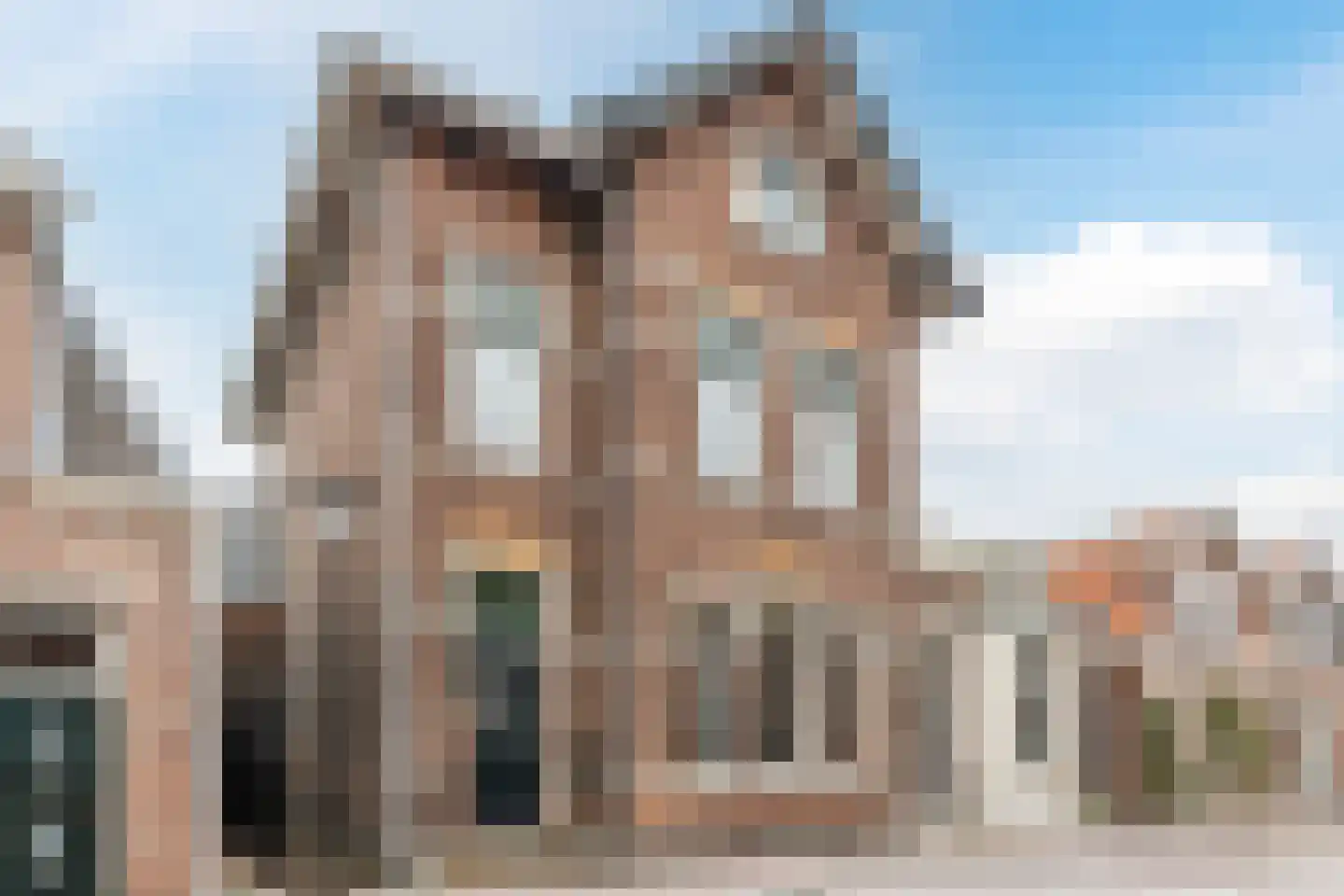 Ooievaarstraat 66 Zaandam