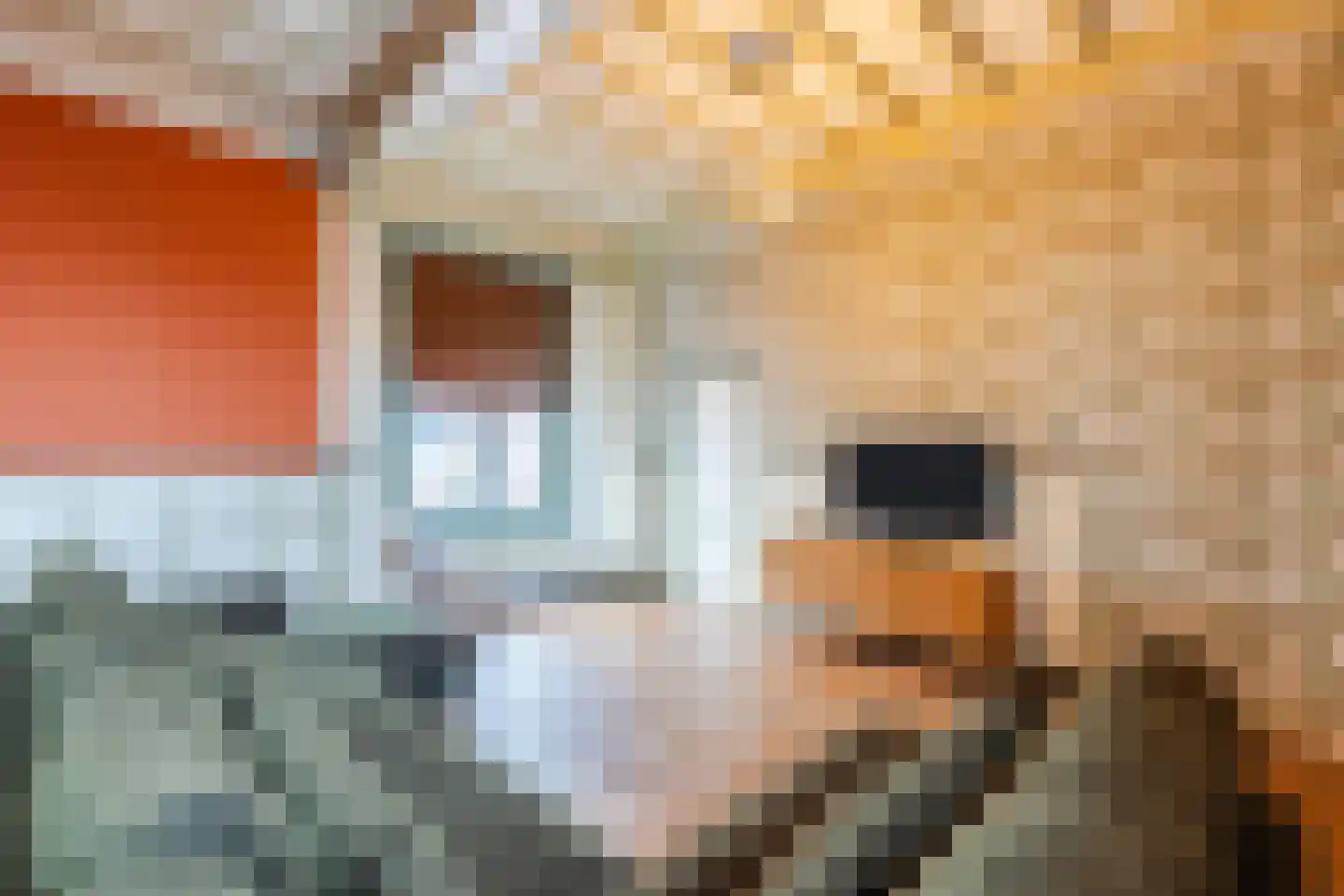 Ooievaarstraat 66 Zaandam thumbnail 15