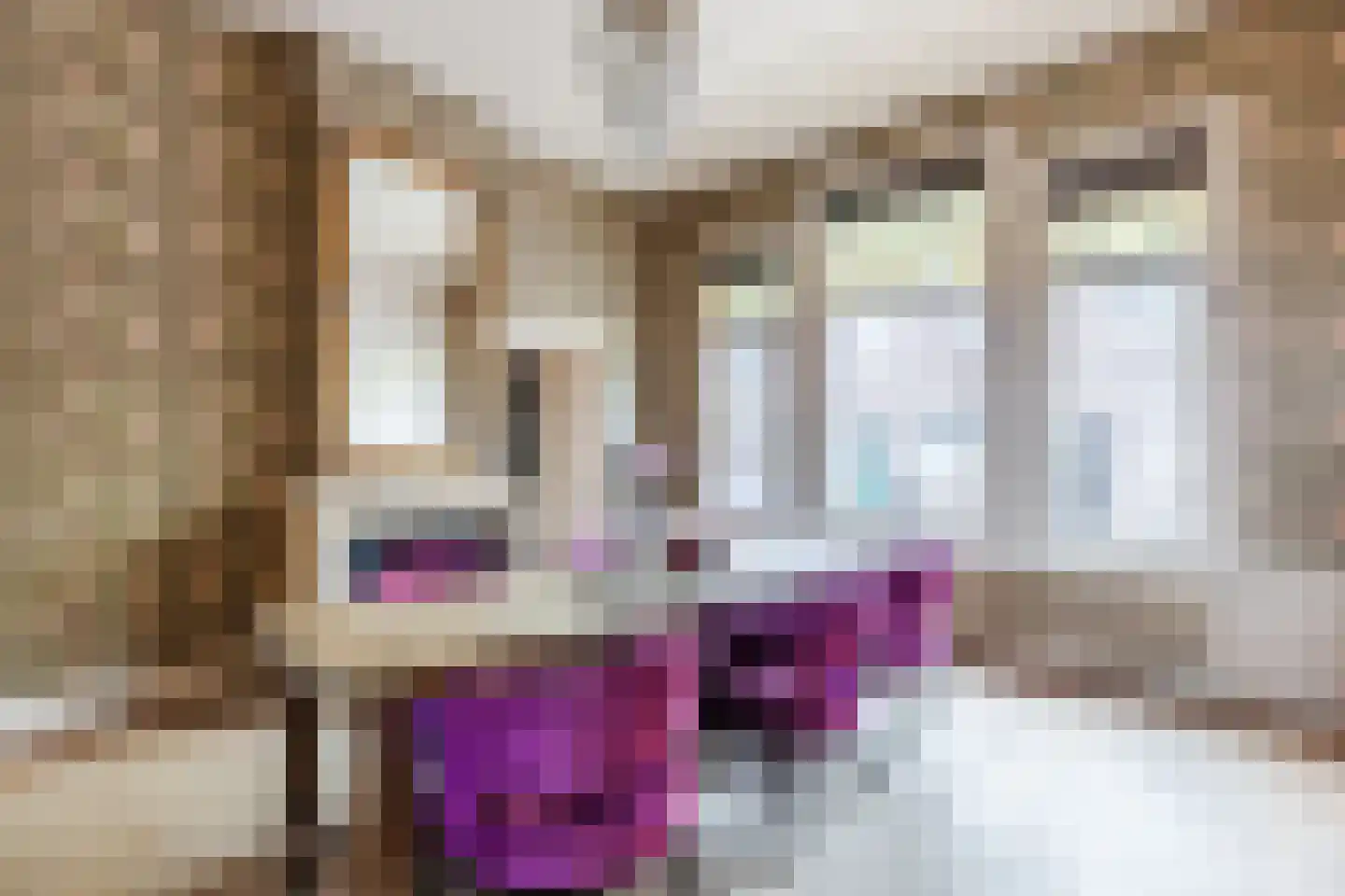 Ooievaarstraat 66 Zaandam thumbnail 9