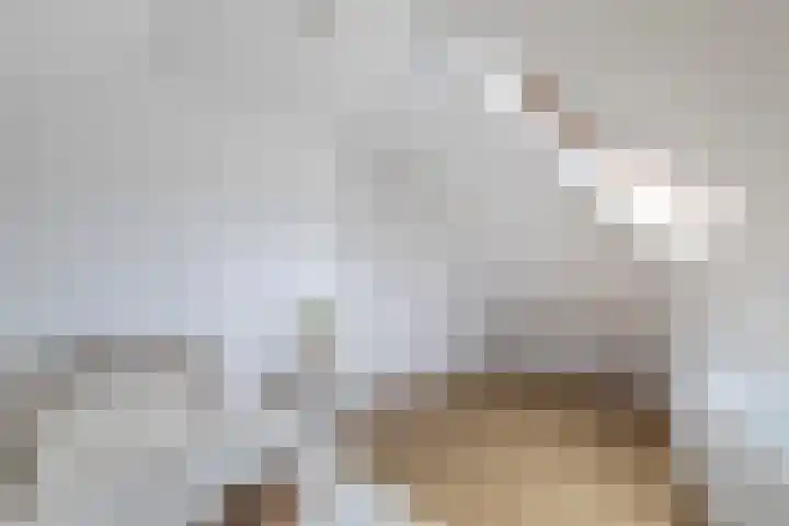 Ooievaarstraat 69 A Rotterdam thumbnail 37