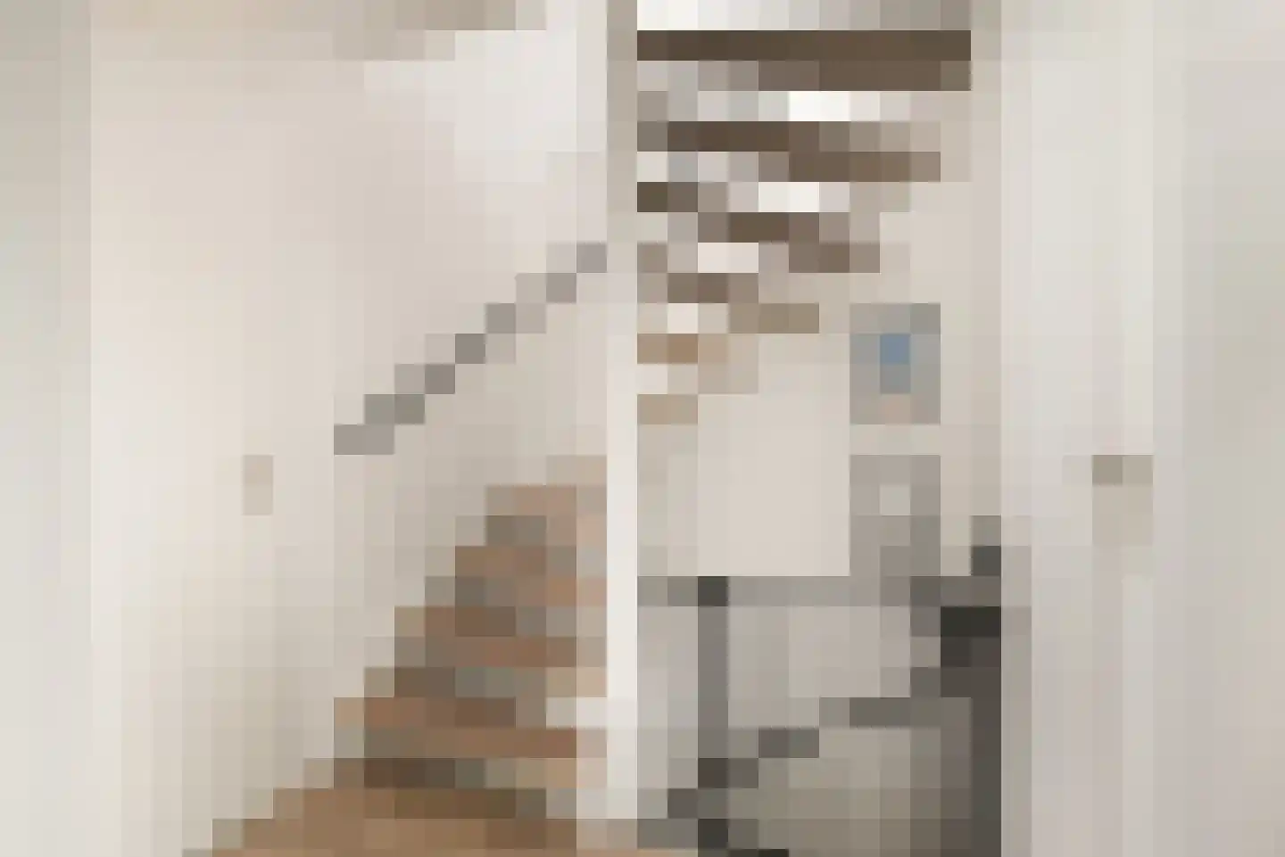 Ooievaarstraat 73 Alkmaar thumbnail 10