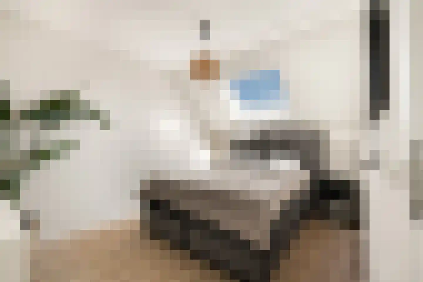 Ooievaarstraat 73 Alkmaar thumbnail 11