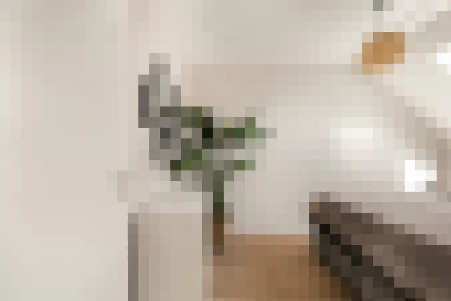 Ooievaarstraat 73 Alkmaar thumbnail 12