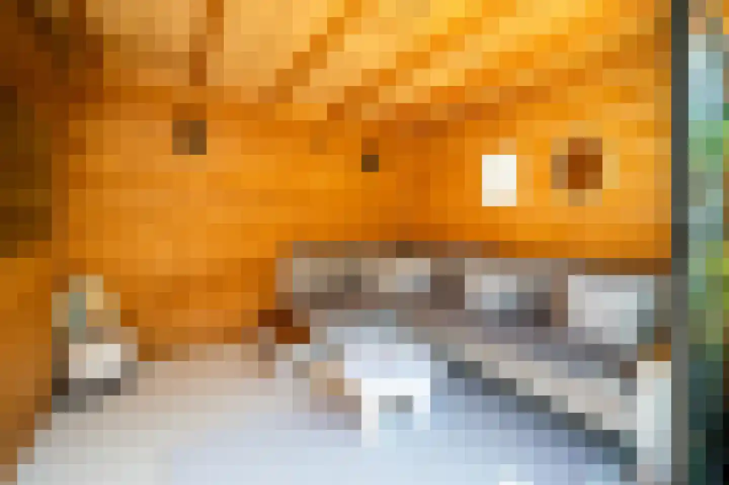 Ooievaarstraat 73 Alkmaar thumbnail 23