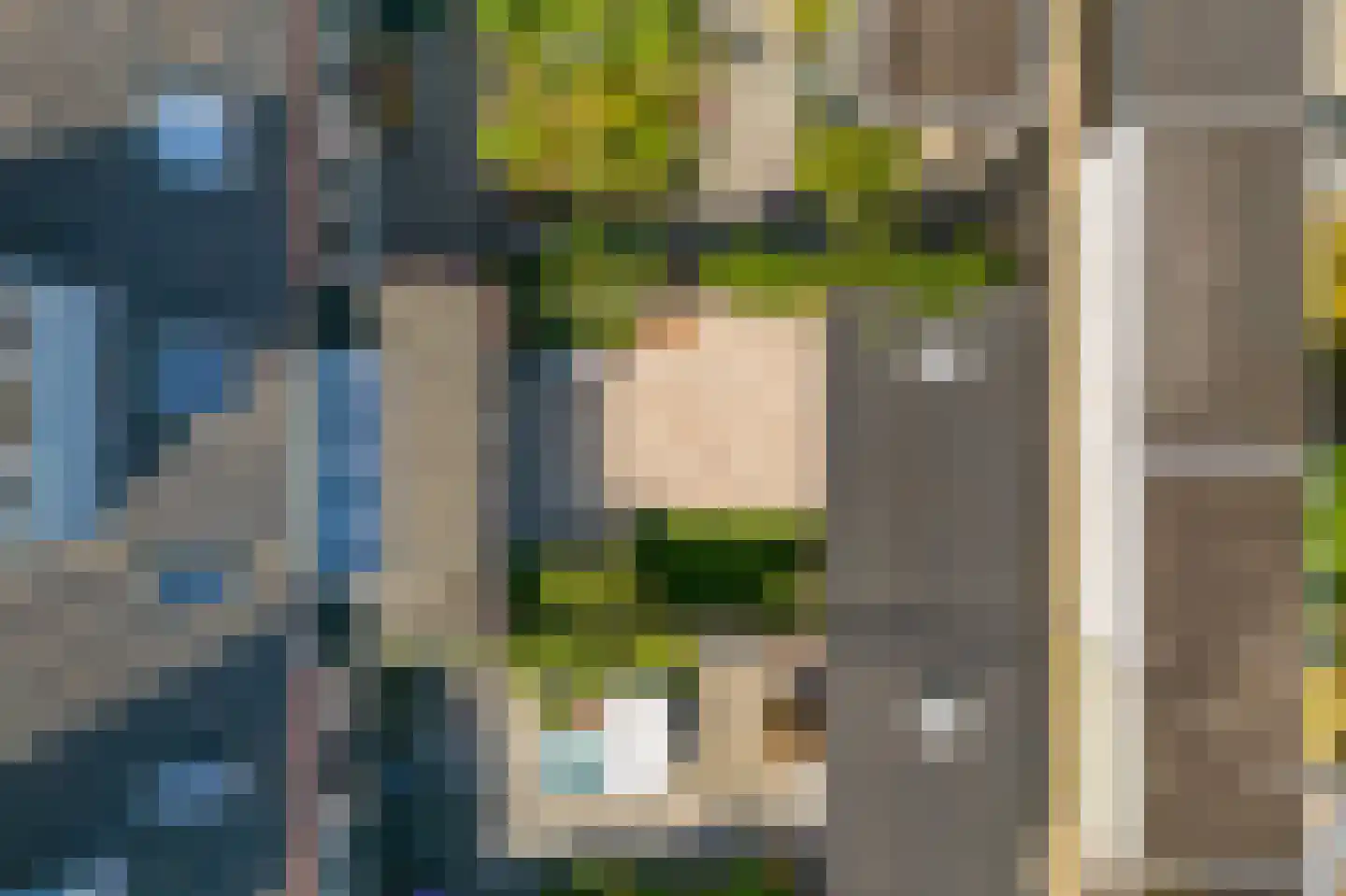 Ooievaarstraat 73 Alkmaar thumbnail 27