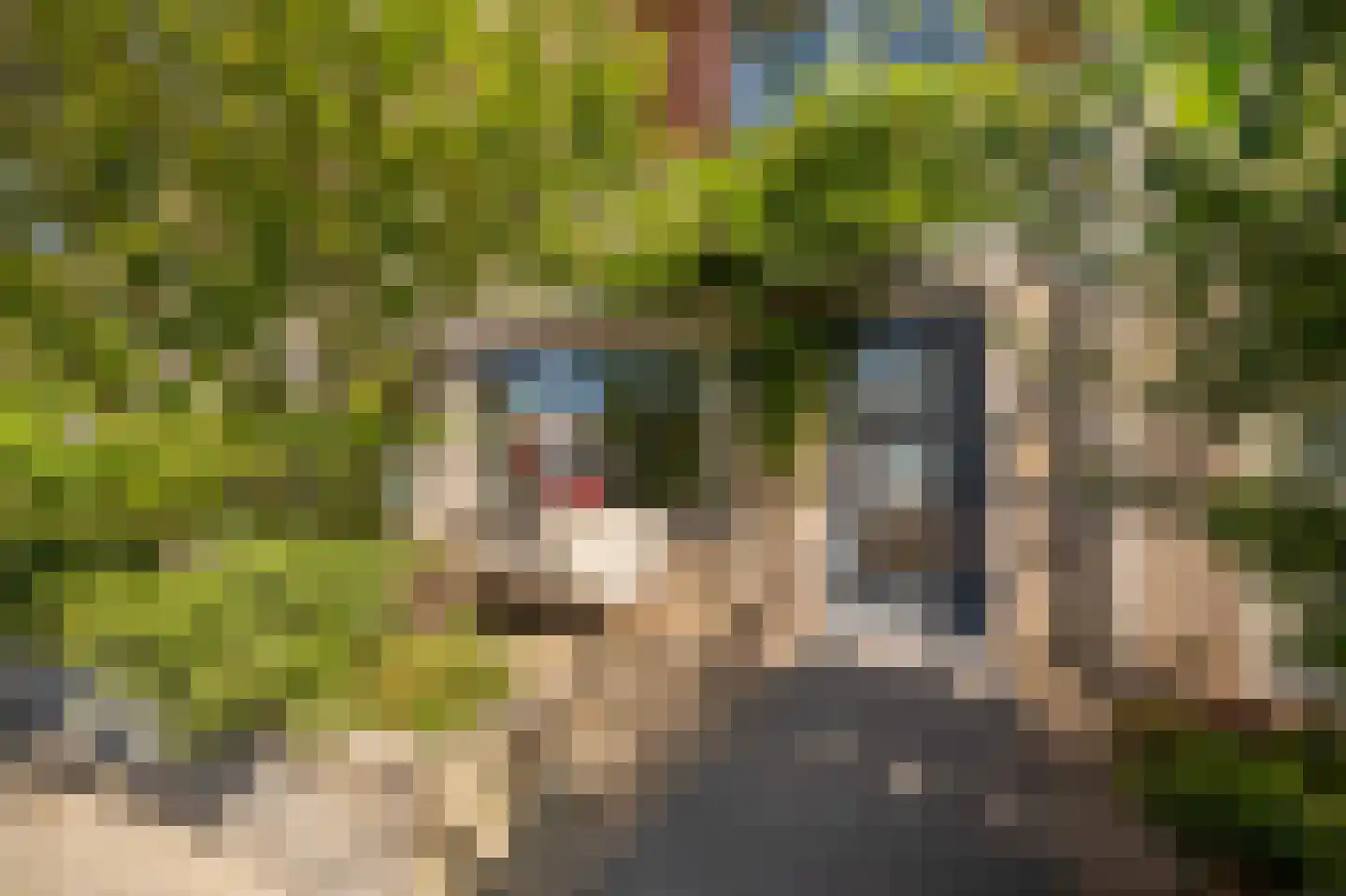 Ooievaarstraat 73 Alkmaar thumbnail 33