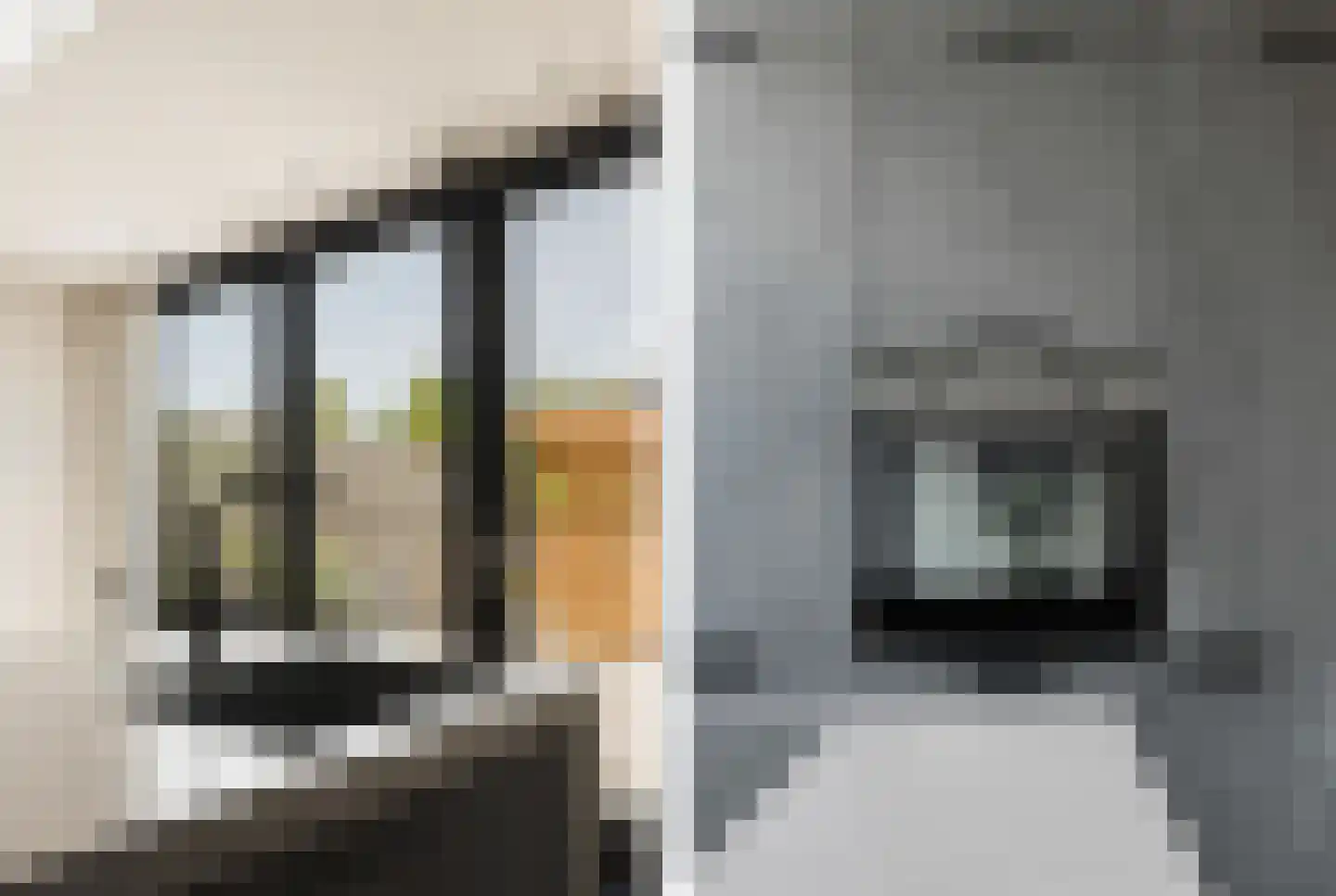 Ooievaarstraat 73 Alkmaar thumbnail 8