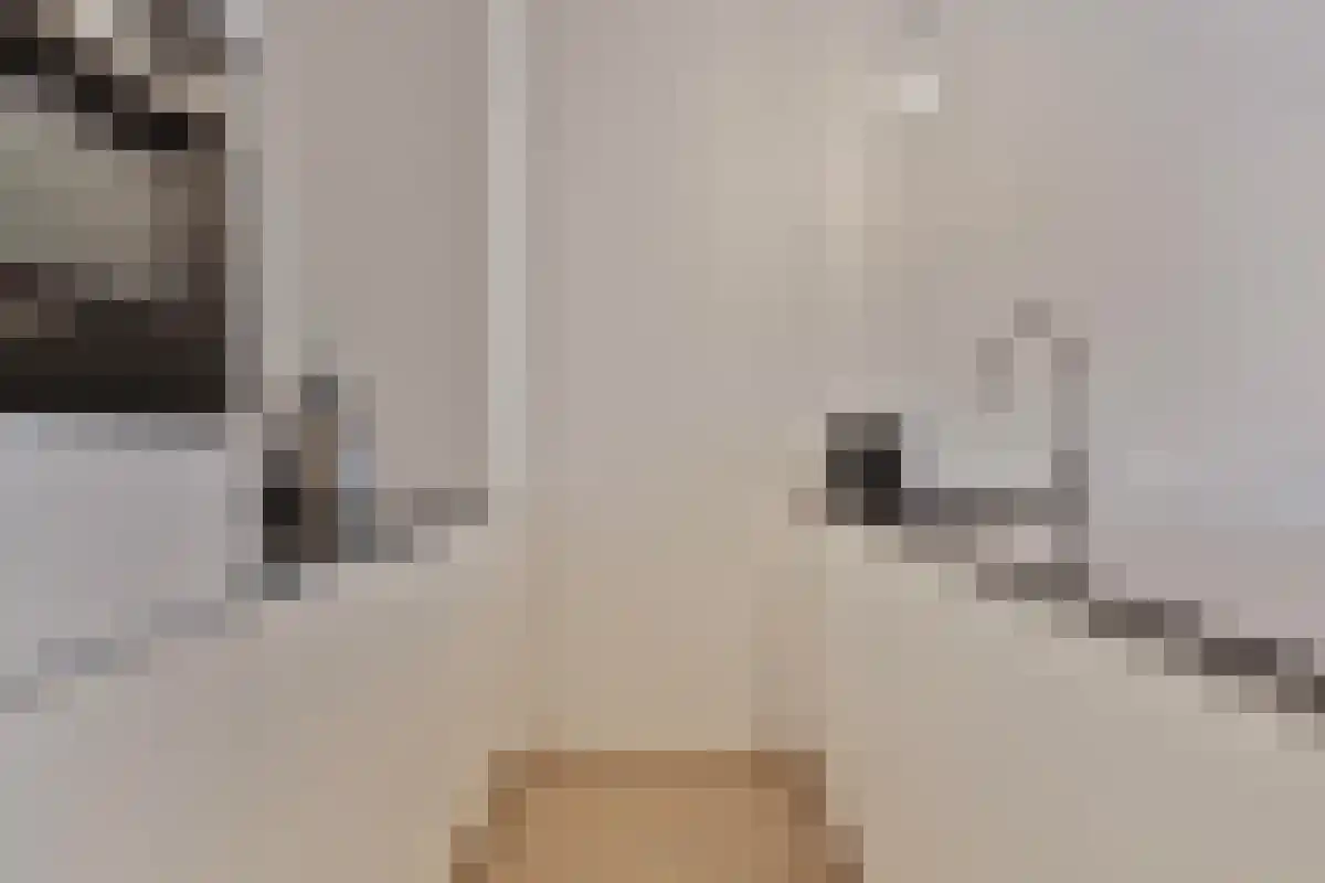 Ooievaarsweg 14 Amsterdam thumbnail 6
