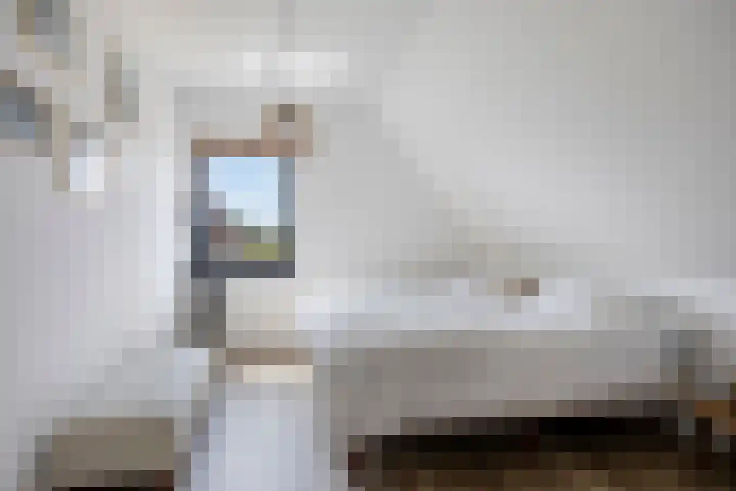 Ooigraaf 7 Ewijk thumbnail 33