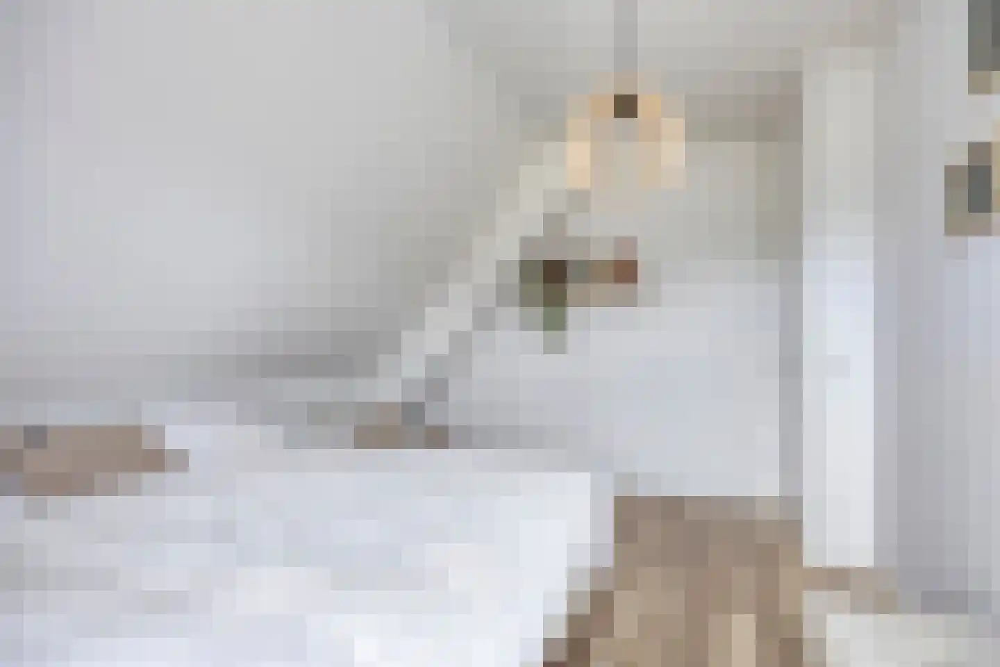 Ooigraaf 7 Ewijk thumbnail 34