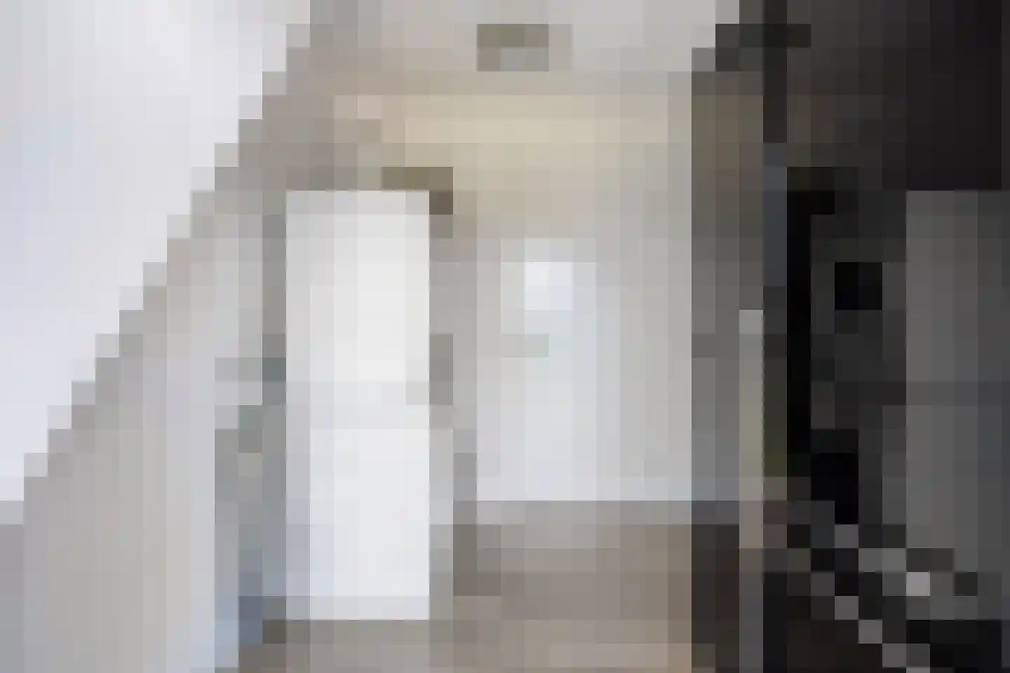 Ooigraaf 7 Ewijk thumbnail 36