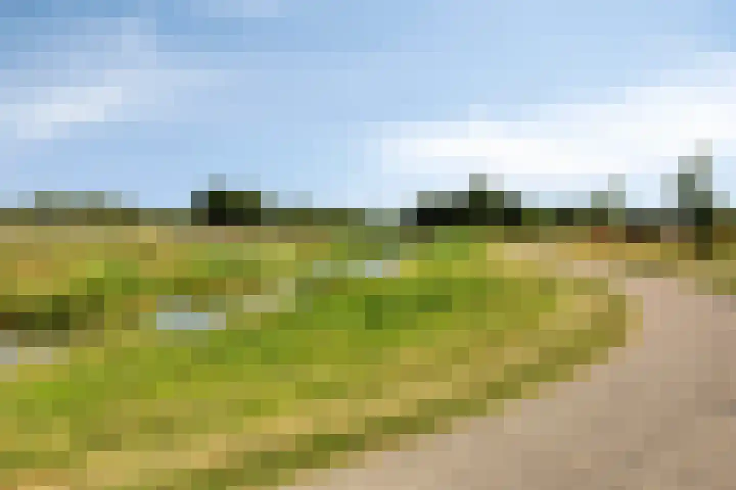 Ooigraaf 7 Ewijk thumbnail 50