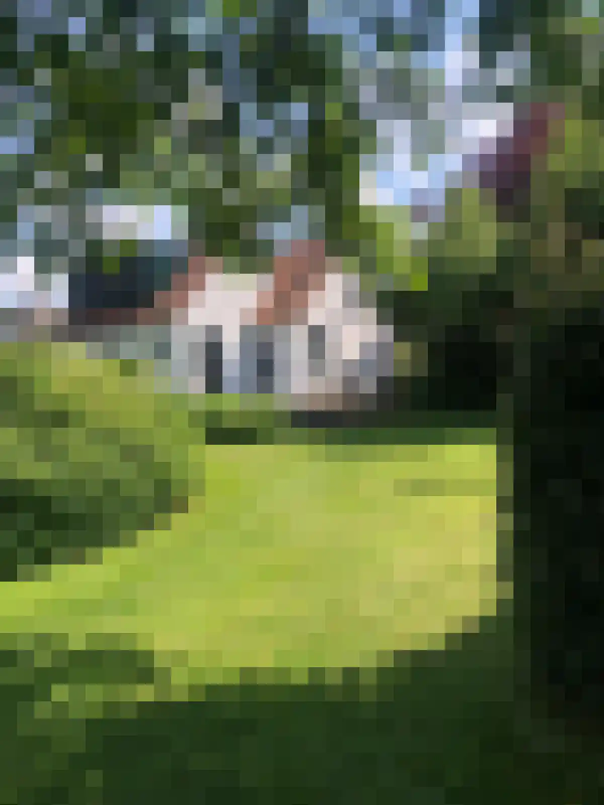 Ooijse Bandijk 1 Ooij
