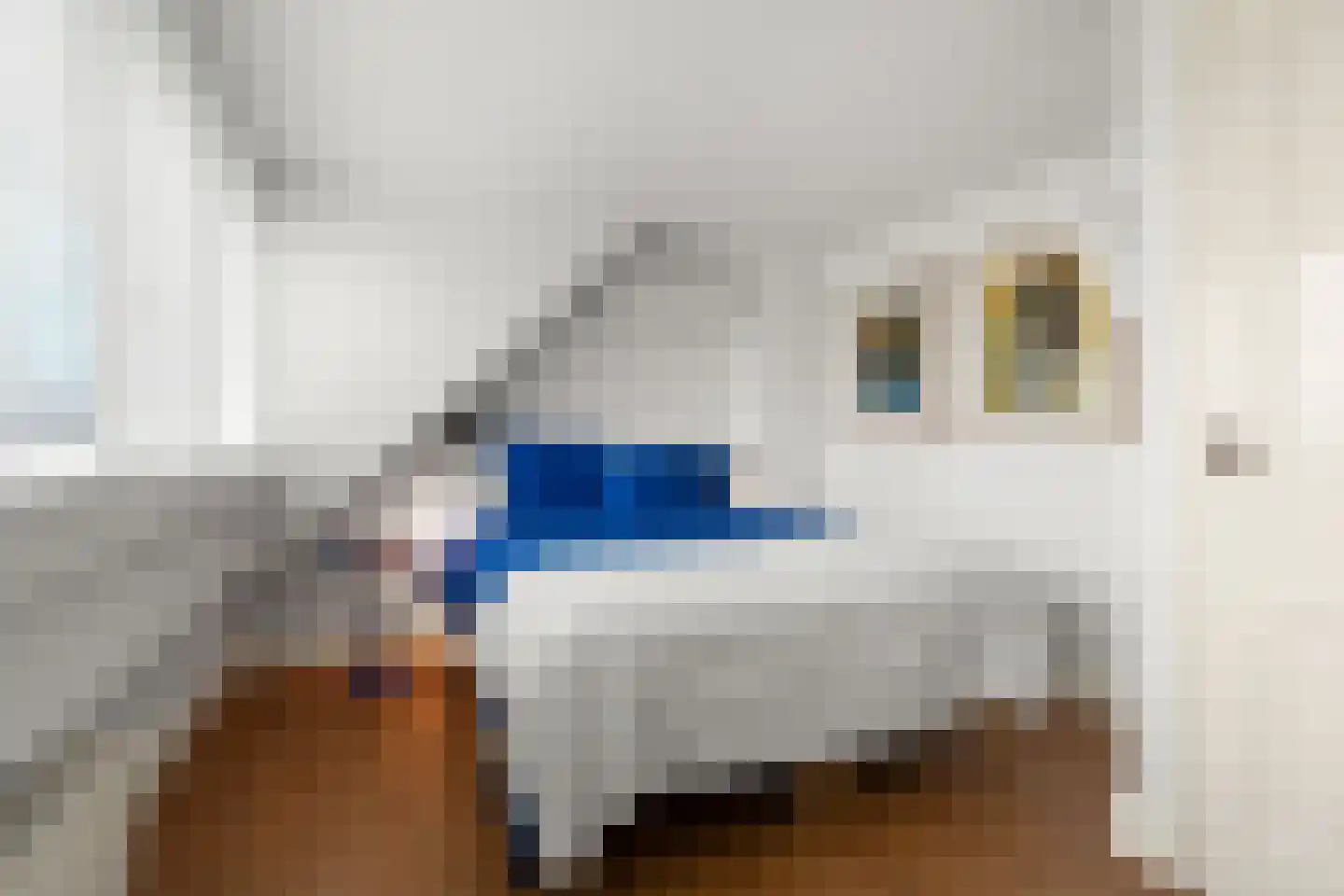 Ooijse Bandijk 1 Ooij thumbnail 17