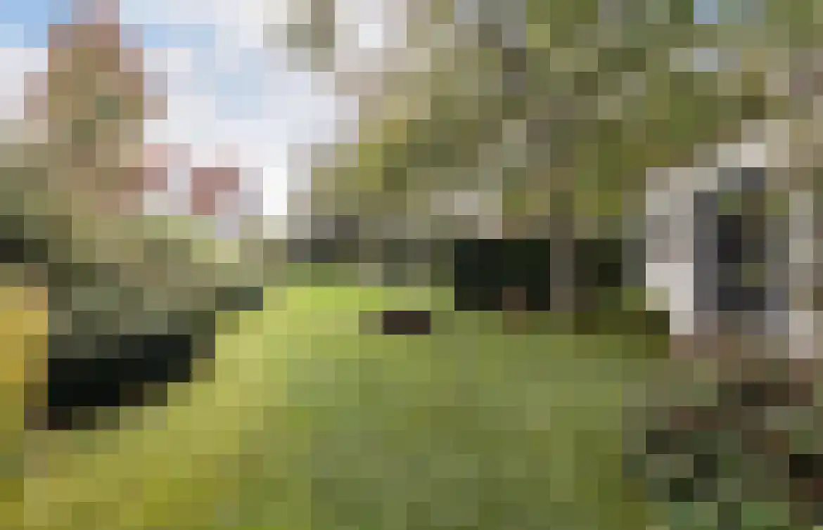 Ooijse Bandijk 1 Ooij thumbnail 23