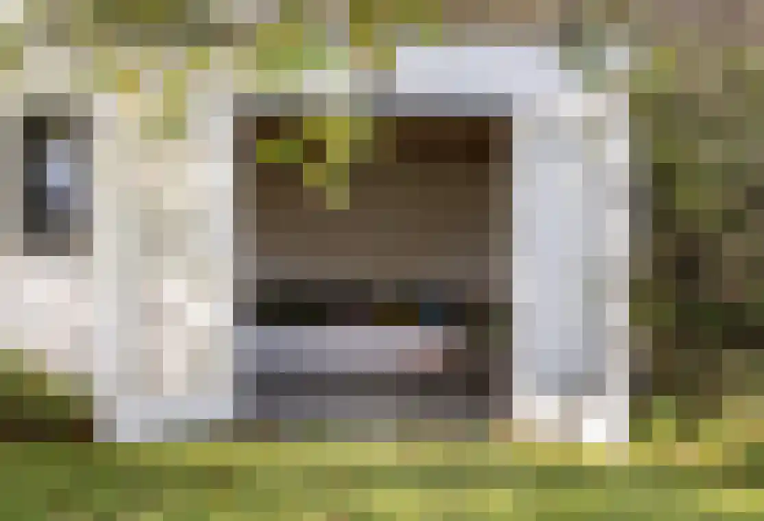 Ooijse Bandijk 1 Ooij thumbnail 24